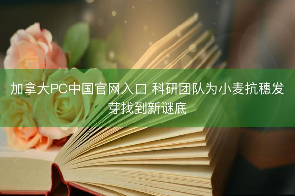 加拿大PC中国官网入口 科研团队为小麦抗穗发芽找到新谜底