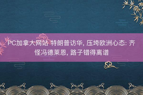 PC加拿大网站 特朗普访华， 压垮欧洲心态: 齐怪冯德莱恩， 路子错得离谱