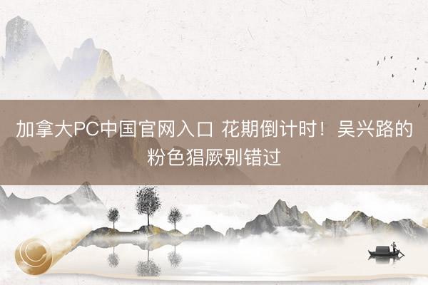 加拿大PC中国官网入口 花期倒计时！吴兴路的粉色猖厥别错过