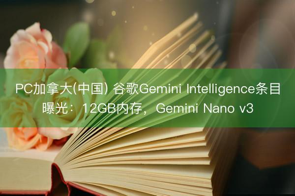 PC加拿大(中国) 谷歌Gemini Intelligence条目曝光：12GB内存，Gemini Nano v3