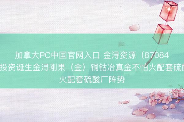加拿大PC中国官网入口 金浔资源（870844）：拟投资诞生金浔刚果（金）铜钴冶真金不怕火配套硫酸厂阵势