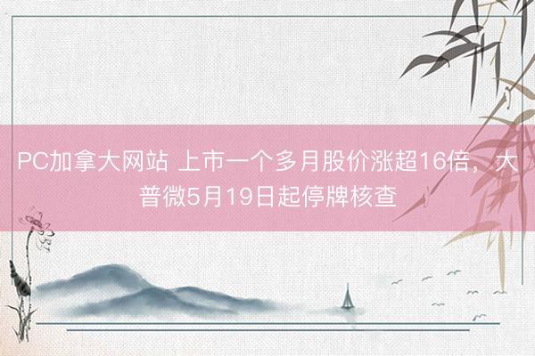 PC加拿大网站 上市一个多月股价涨超16倍,大普微5月19日起停牌核查