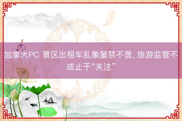 加拿大PC 景区出租车乱象屡禁不啻， 旅游监管不成止于“关注”