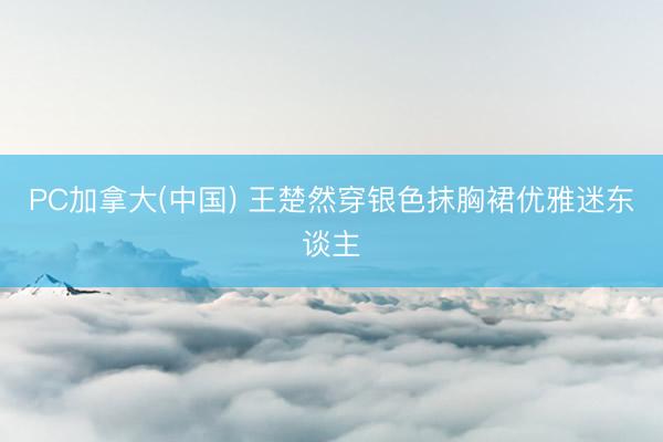 PC加拿大(中国) 王楚然穿银色抹胸裙优雅迷东谈主