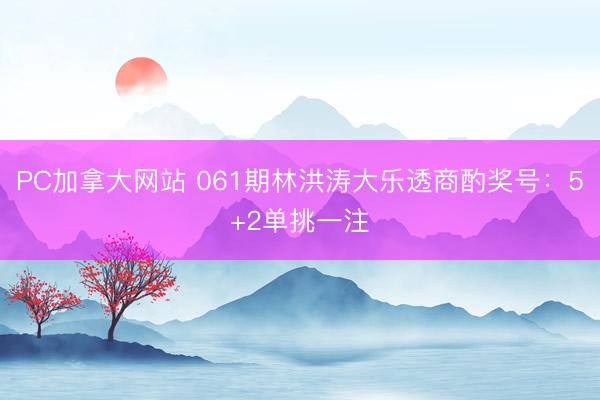 PC加拿大网站 061期林洪涛大乐透商酌奖号：5+2单挑一注