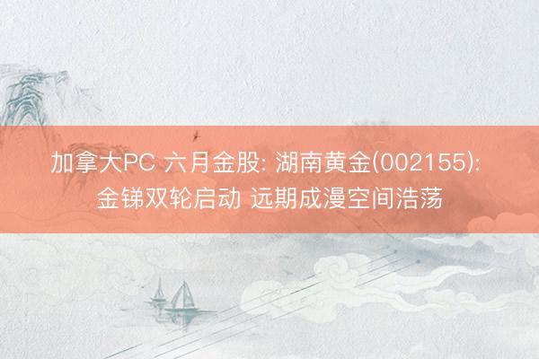加拿大PC 六月金股: 湖南黄金(002155): 金锑双轮启动 远期成漫空间浩荡
