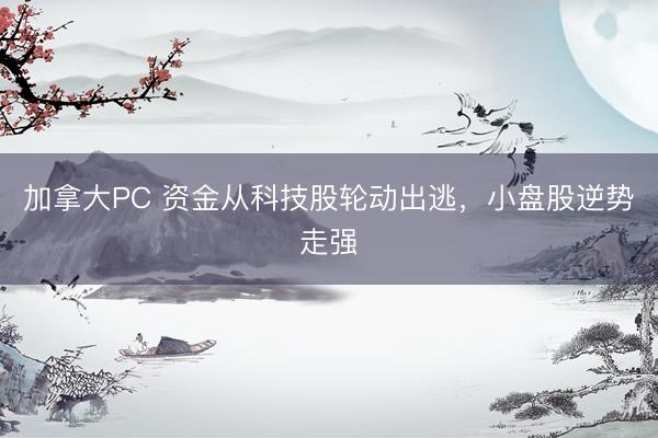 加拿大PC 资金从科技股轮动出逃，小盘股逆势走强