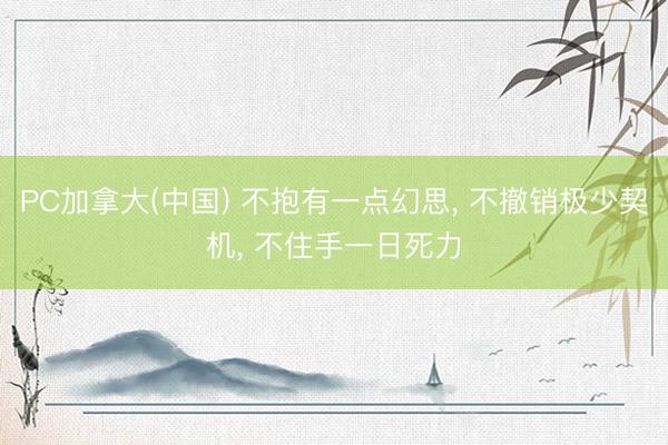 PC加拿大(中国) 不抱有一点幻思， 不撤销极少契机， 不住手一日死力