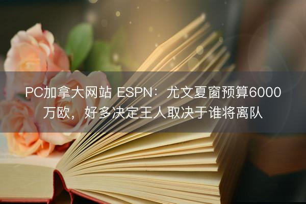 PC加拿大网站 ESPN：尤文夏窗预算6000万欧，好多决定王人取决于谁将离队
