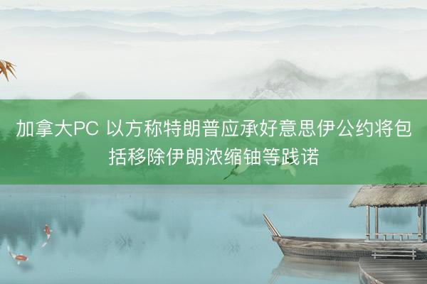 加拿大PC 以方称特朗普应承好意思伊公约将包括移除伊朗浓缩铀等践诺