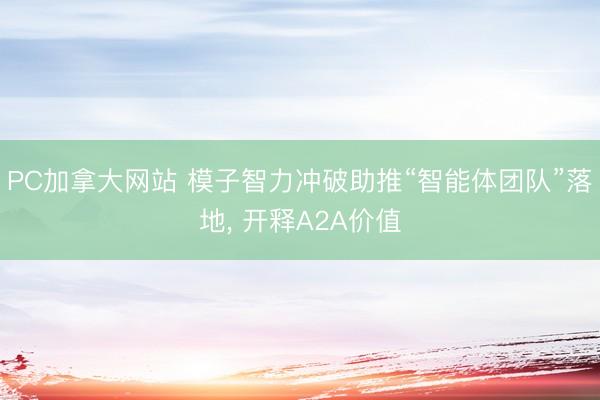 PC加拿大网站 模子智力冲破助推“智能体团队”落地, 开释A2A价值