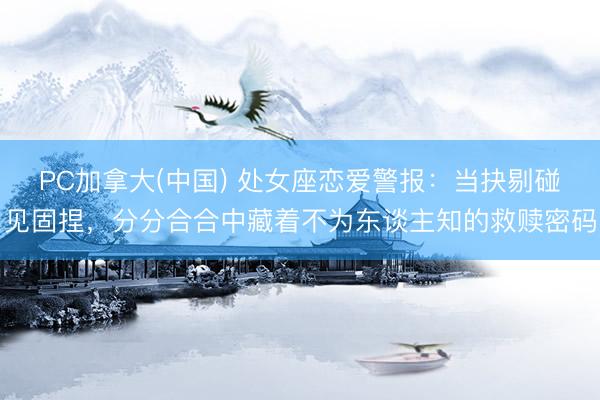 PC加拿大(中国) 处女座恋爱警报：当抉剔碰见固捏，分分合合中藏着不为东谈主知的救赎密码
