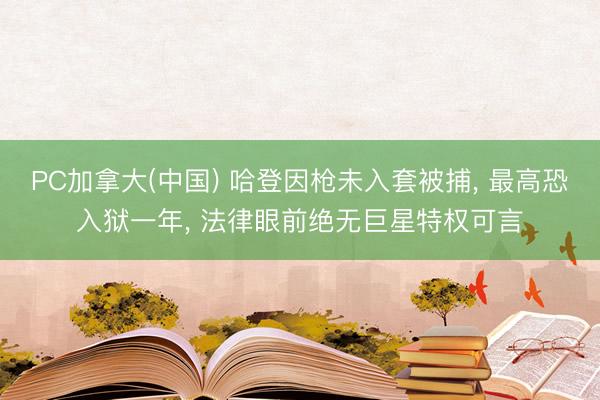 PC加拿大(中国) 哈登因枪未入套被捕， 最高恐入狱一年， 法律眼前绝无巨星特权可言