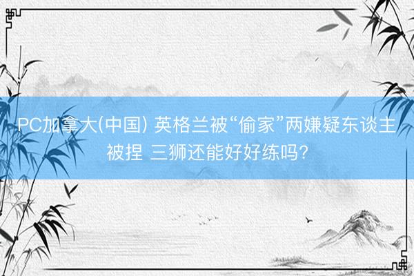 PC加拿大(中国) 英格兰被“偷家”两嫌疑东谈主被捏 三狮还能好好练吗?