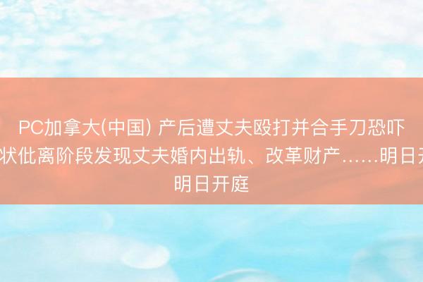 PC加拿大(中国) 产后遭丈夫殴打并合手刀恐吓， 告状仳离阶段发现丈夫婚内出轨、改革财产……明日开庭
