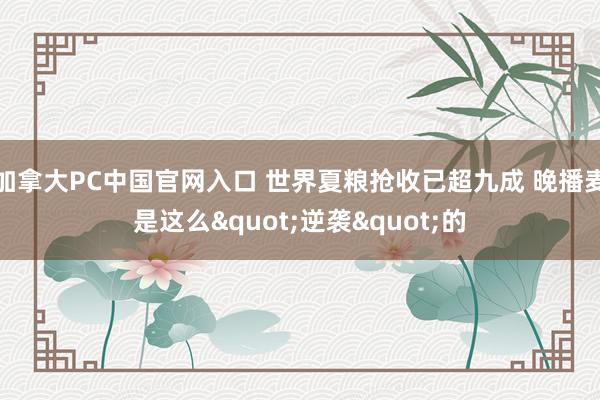 加拿大PC中国官网入口 世界夏粮抢收已超九成 晚播麦是这么"逆袭"的