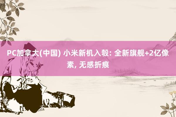 PC加拿大(中国) 小米新机入彀: 全新旗舰+2亿像素， 无感折痕