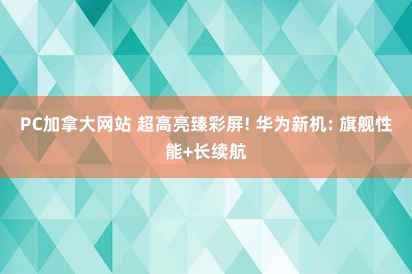 PC加拿大网站 超高亮臻彩屏! 华为新机: 旗舰性能+长续航