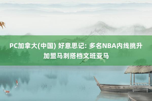 PC加拿大(中国) 好意思记: 多名NBA内线挑升加盟马刺搭档文班亚马
