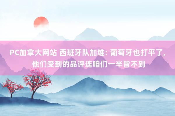 PC加拿大网站 西班牙队加维: 葡萄牙也打平了， 他们受到的品评连咱们一半皆不到